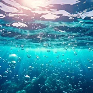poseidonias