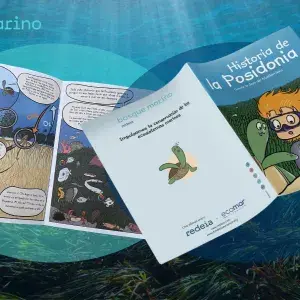 foto posidonia_talleresecomar