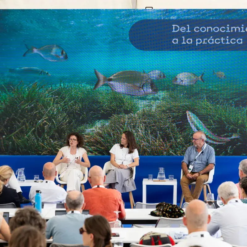Expertos exponen experiencias prácticas de conservación marina