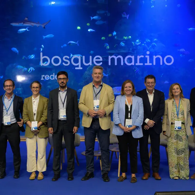 La plataforma trabaja con la Generalitat Valenciana en el diseño de una iniciativa de restauración activa de praderas de posidonia en la Comunitat.Así lo han anunciado este miércoles el Conseller de Medio Ambiente, Infraestructuras y Territorio de la Generalitat Valenciana, Vicente Martínez Mus, y la delegada de Redeia en la región, Maite Vela, durante la inauguración del seminario científico 2025.